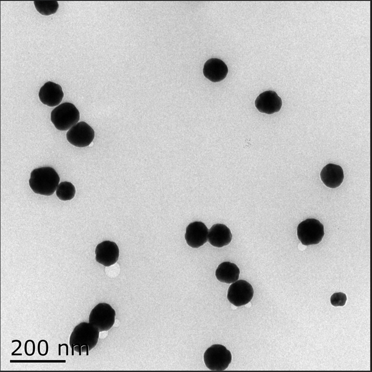 油溶性銀納米顆粒（5-300nm）可選